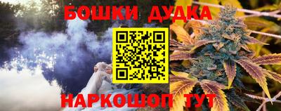стаф Абакан