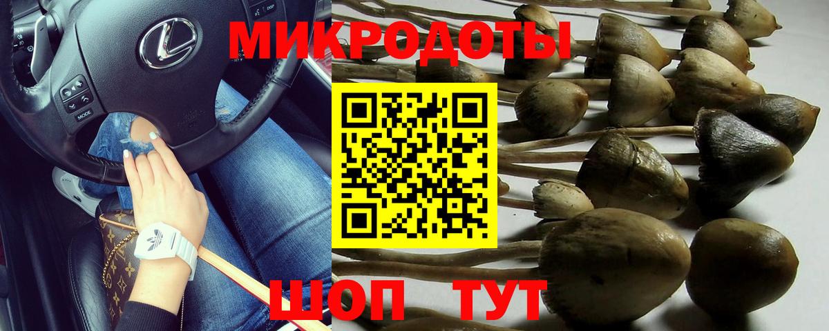 Псилоцибиновые грибы Psilocybine cubensis  Вход с VPN  Артёмовский 